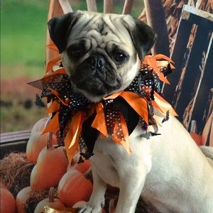 Meet your Posher, Ken